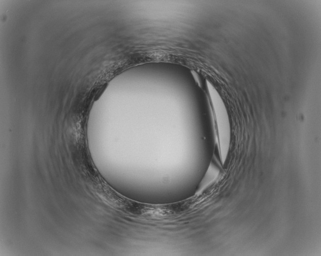 X0000087060611200705091202