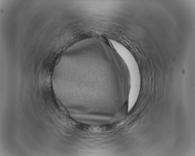 X0000087060613200705091202