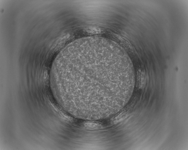 X0000087060614200705091202