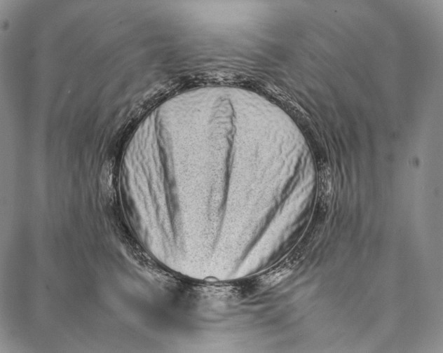 X0000087060615200705091202