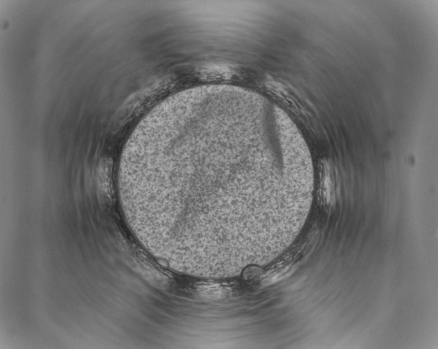 X0000087060616200705091202