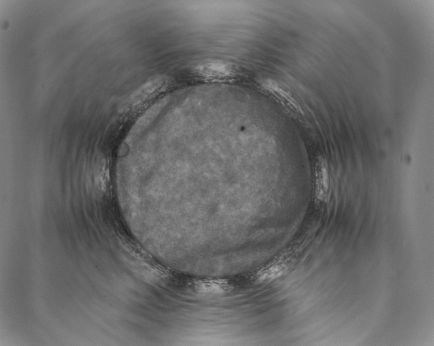 X0000087060618200705091202