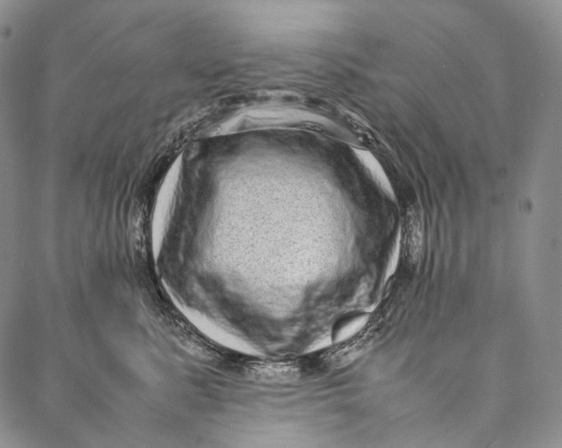 X0000087060619200705091202