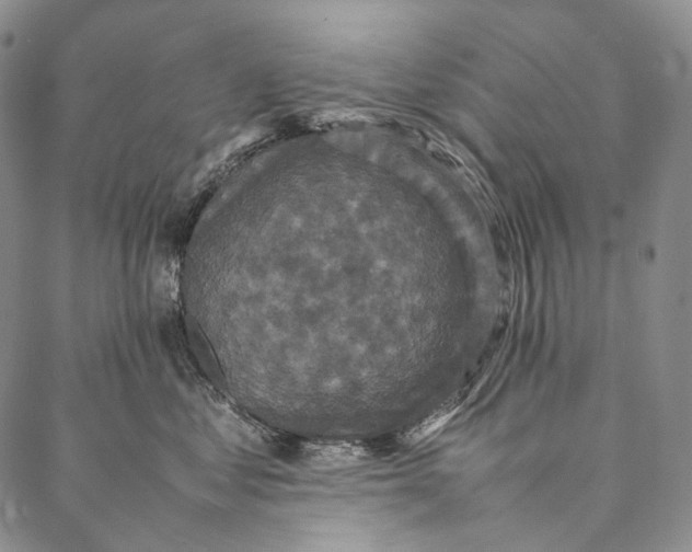 X0000087060621200705091202