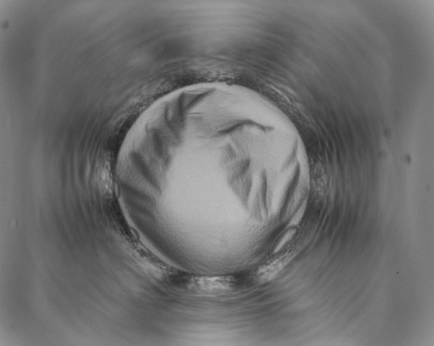 X0000087060622200705091202