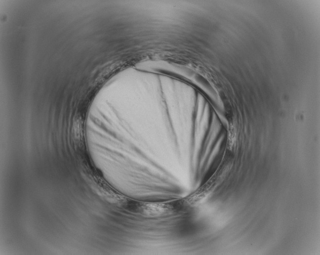 X0000087060623200705091202