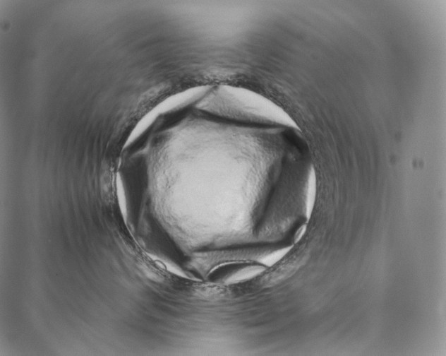 X0000087060624200705091202