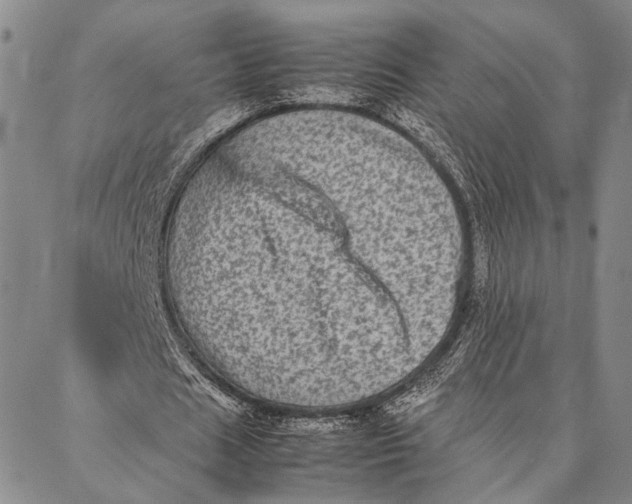 X0000087060625200705091201