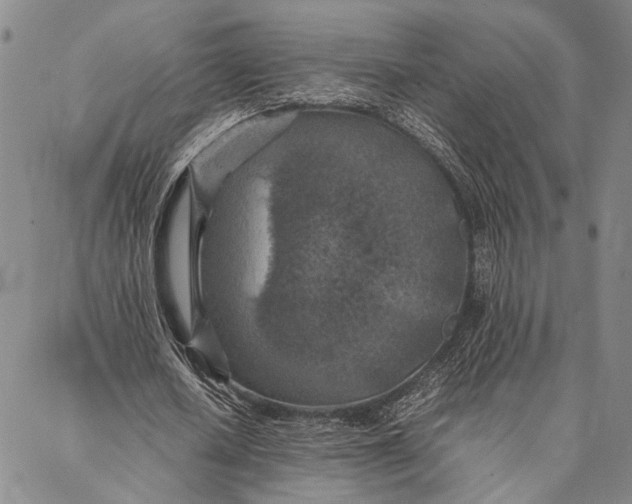 X0000087060626200705091201