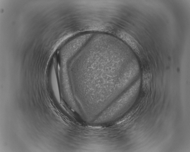 X0000087060628200705091201