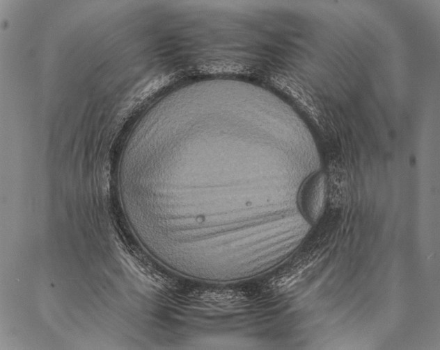 X0000087060631200705091201