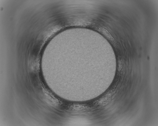 X0000087060632200705091201