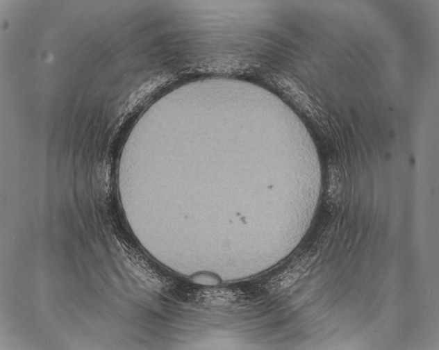 X0000087060636200705091201