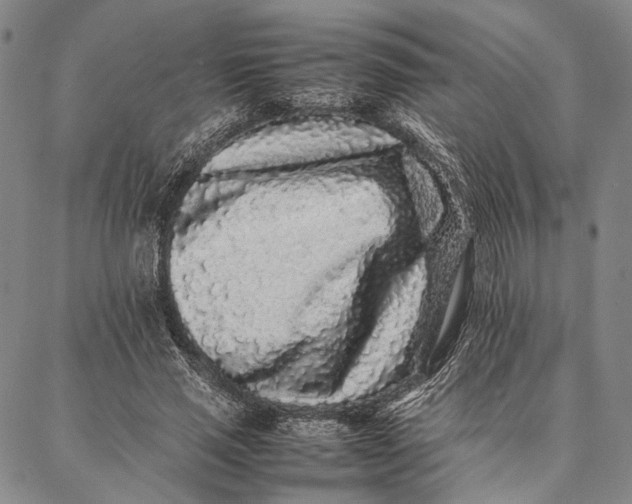 X0000087060637200705091201