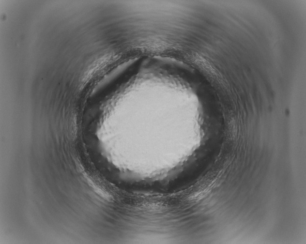 X0000087060638200705091201