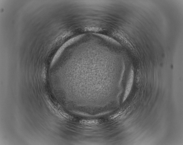 X0000087060639200705091201