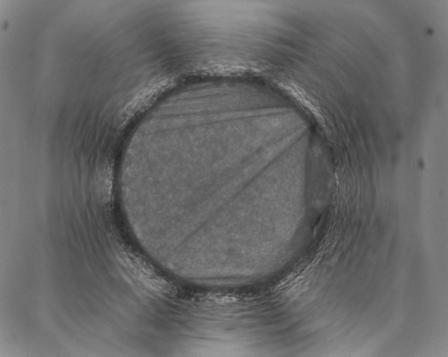 X0000087060640200705091201