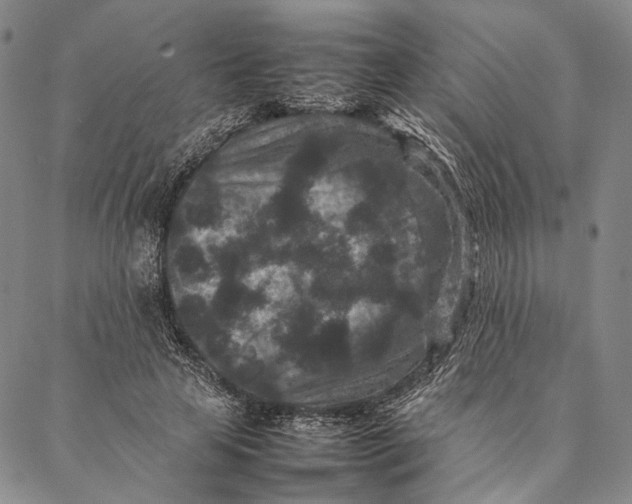 X0000087060641200705091201