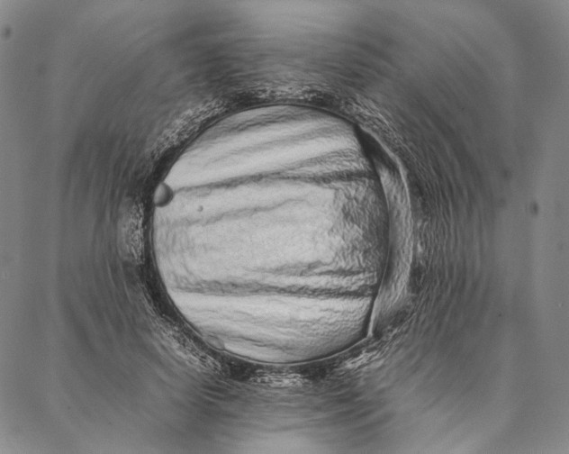 X0000087060642200705091201