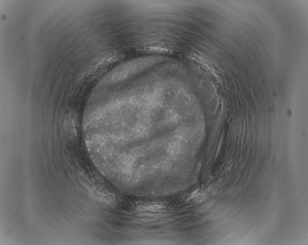 X0000087060643200705091201