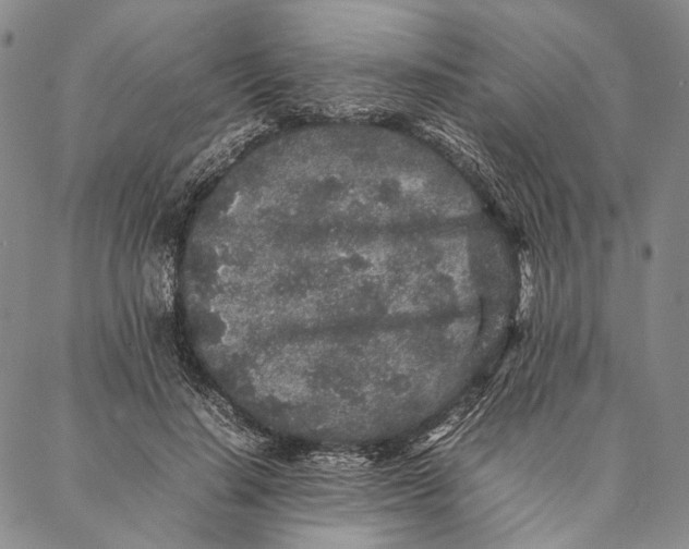 X0000087060644200705091201