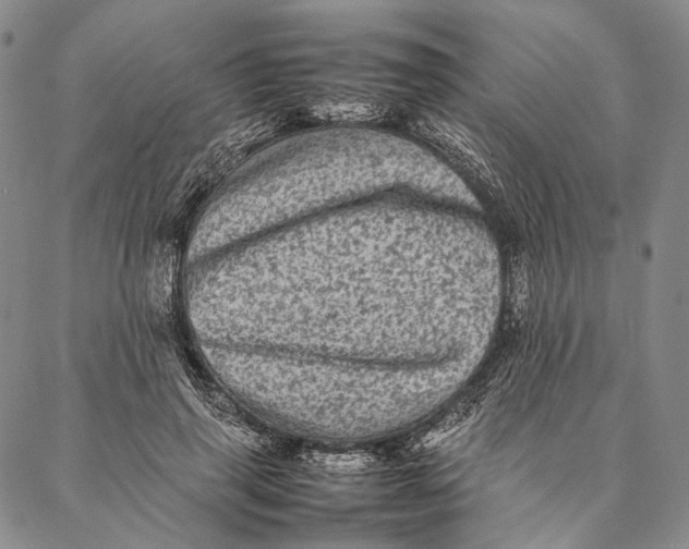 X0000087060645200705091201