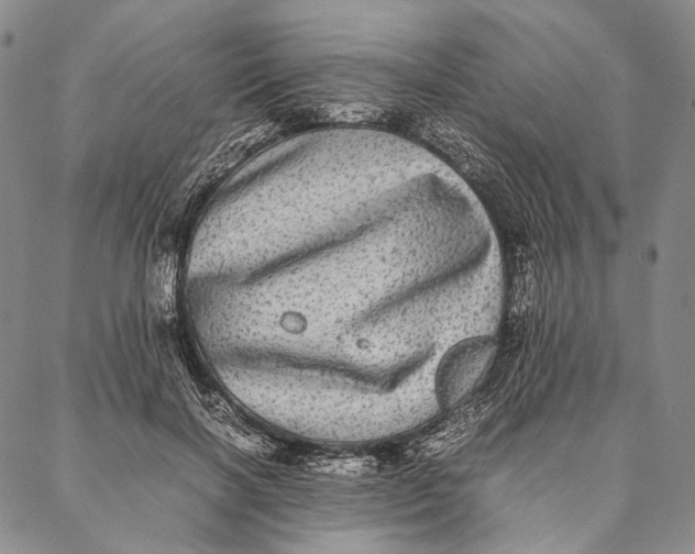 X0000087060646200705091201