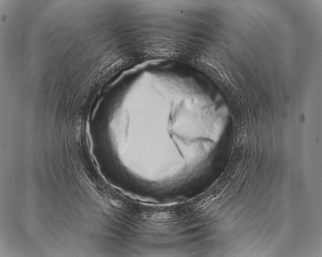 X0000087060647200705091201