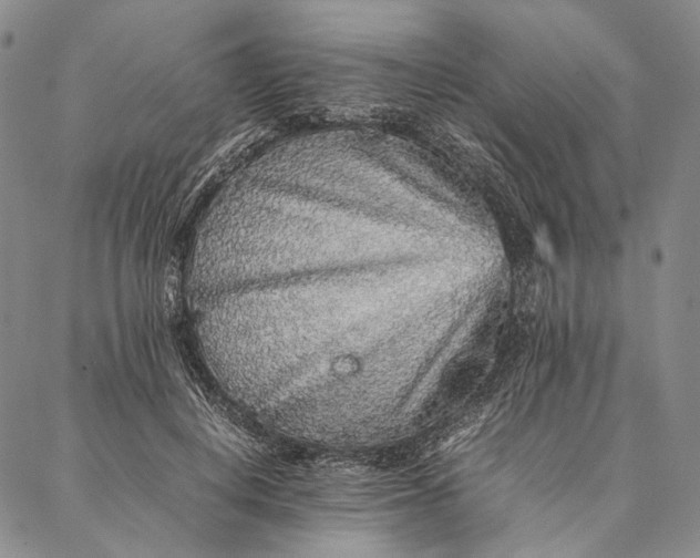 X0000087060648200705091201