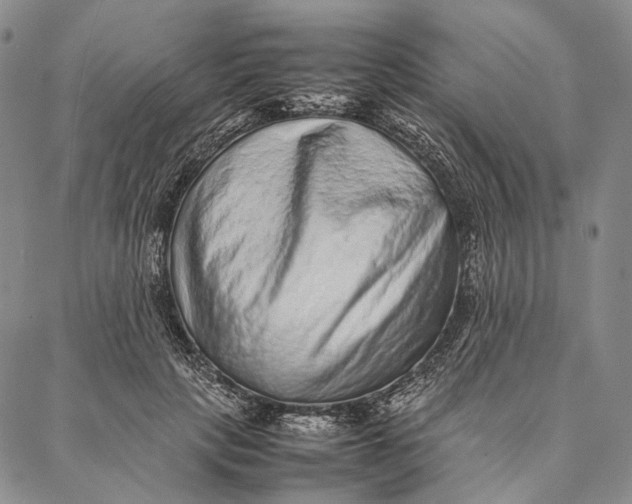 X0000087060649200705091201