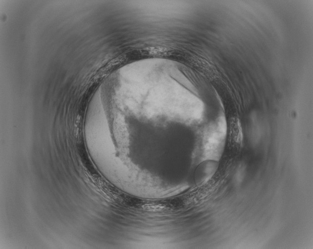 X0000087060650200705091201