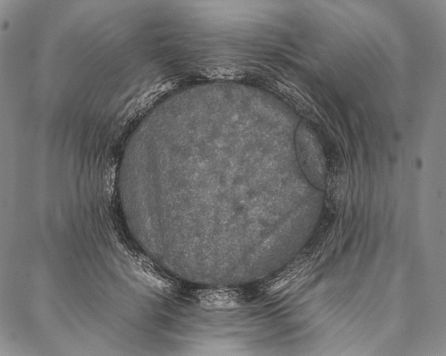 X0000087060652200705091202