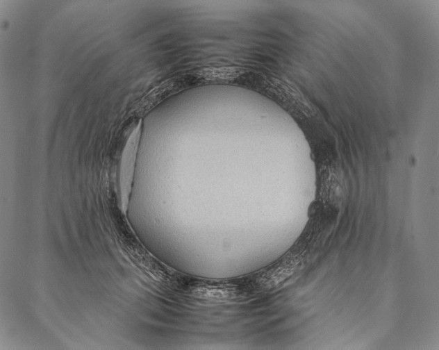 X0000087060655200705091202