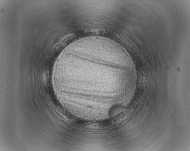 X0000087060656200705091202