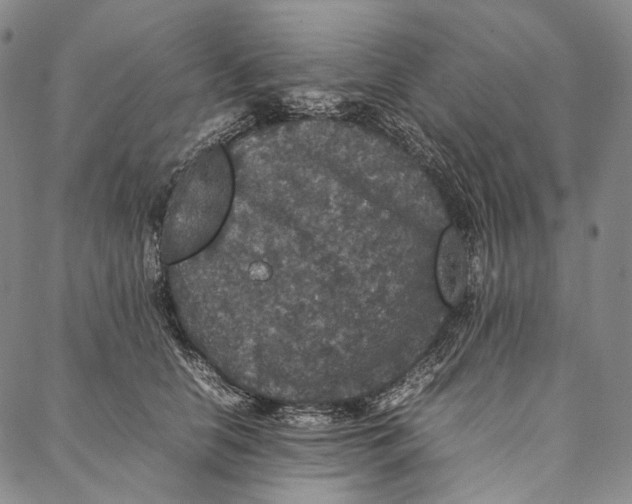 X0000087060658200705091202