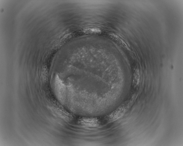 X0000087060659200705091202