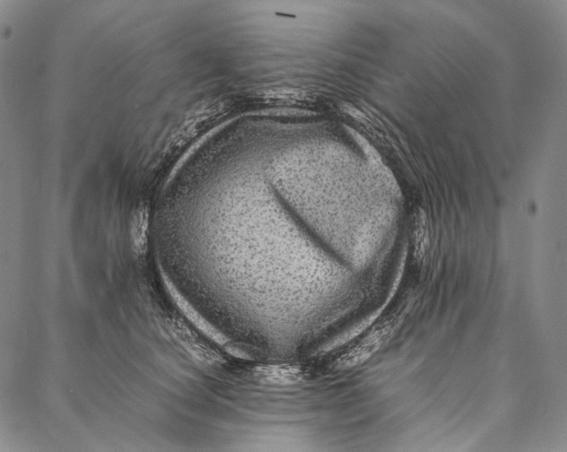 X0000087060660200705091202