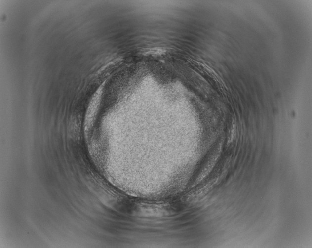 X0000087060661200705091202