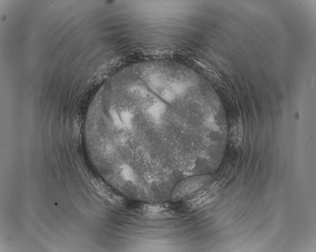 X0000087060662200705091202