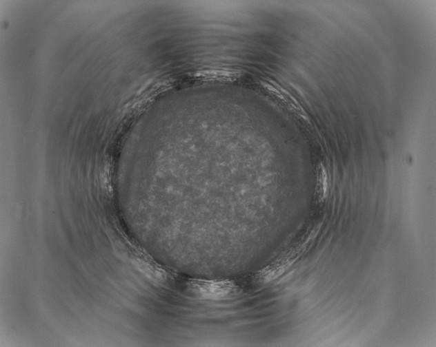 X0000087060663200705091202