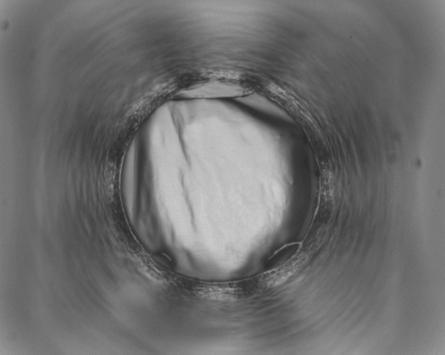 X0000087060664200705091202