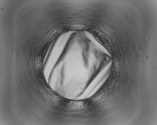 X0000087060665200705091202