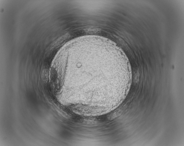 X0000087060666200705091202