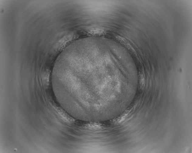 X0000087060668200705091202