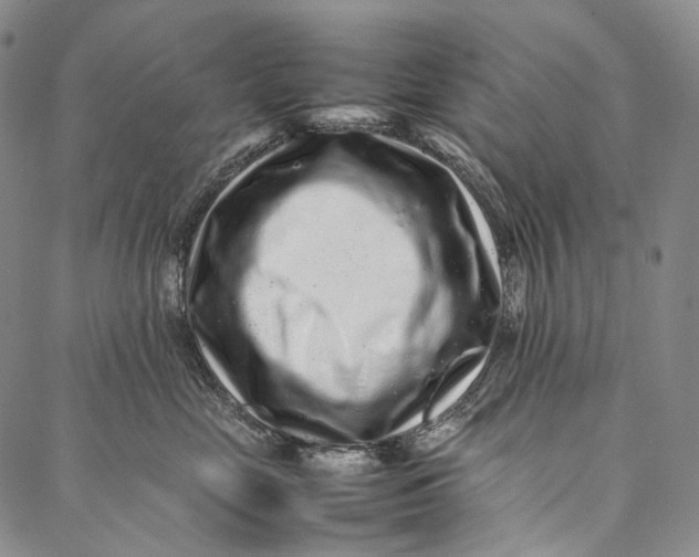 X0000087060669200705091202