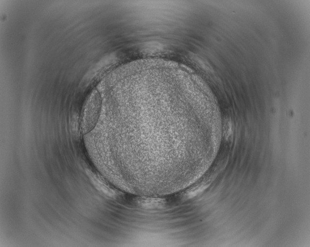 X0000087060670200705091202