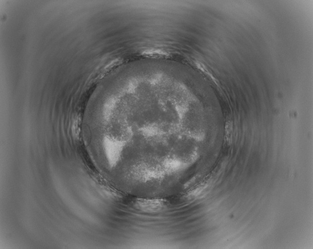 X0000087060671200705091202