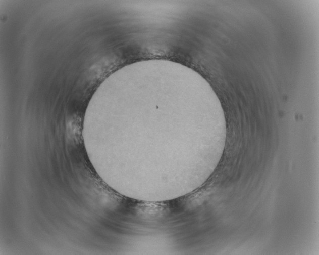 X0000087060672200705091202