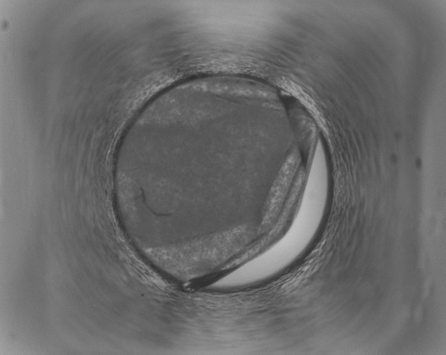 X0000087060673200705091201