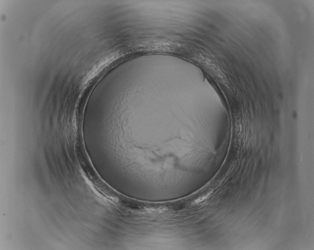 X0000087060674200705091201